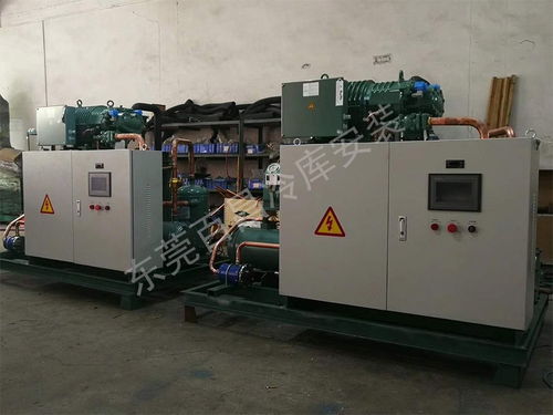 珠海鱸魚加工廠冷庫(kù)安裝 構(gòu)建高品質(zhì)、高安全性的食品儲(chǔ)存解決方案